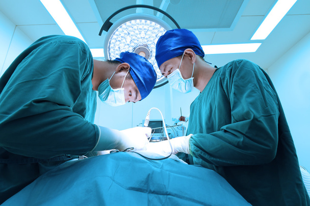 two veterinarian surgeons in operating room  - Photo, image