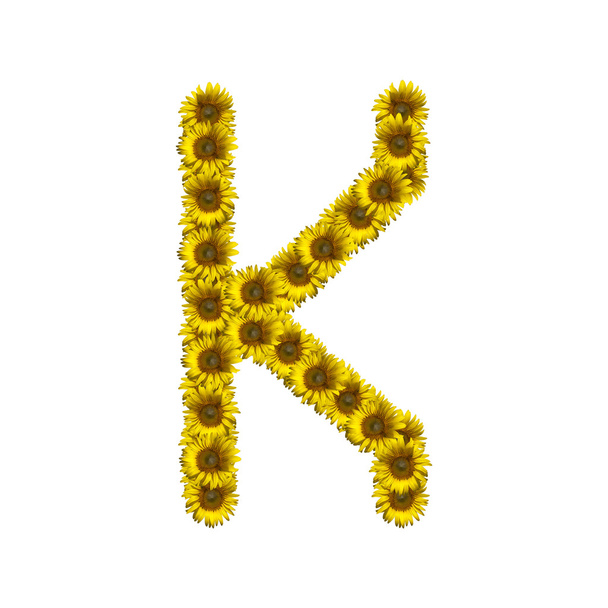 Alfabeto de girassol isolado K
 - Foto, Imagem