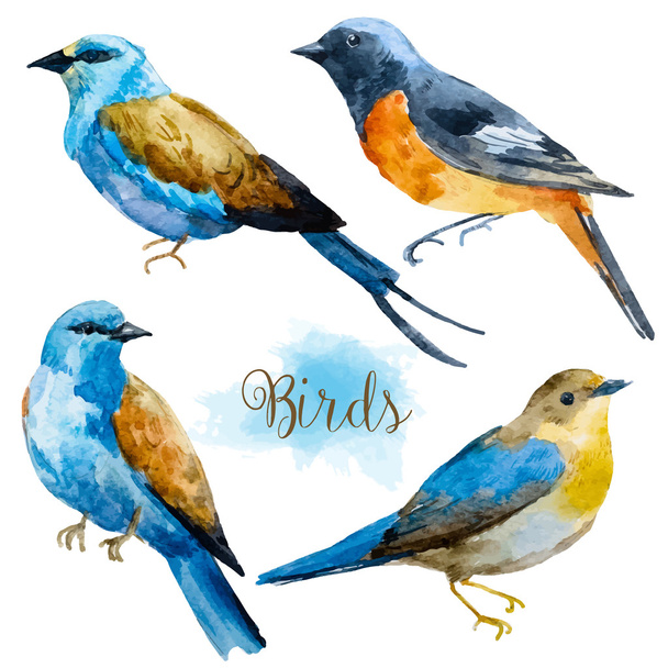 Watercolor hand drawn birds - Wektor, obraz