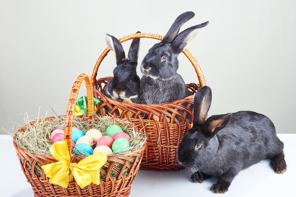 Три кролика, що сидить поруч із Великодньою корзиною з яйцями
 - Фото, зображення