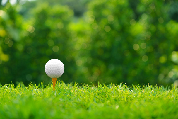白い背景で隔離の緑の草にゴルフ ・ ボール - 写真・画像
