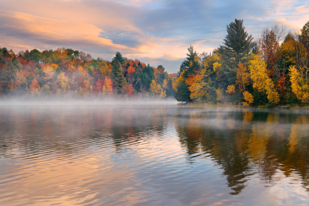Lake Autumn Foliage - Photo, Image