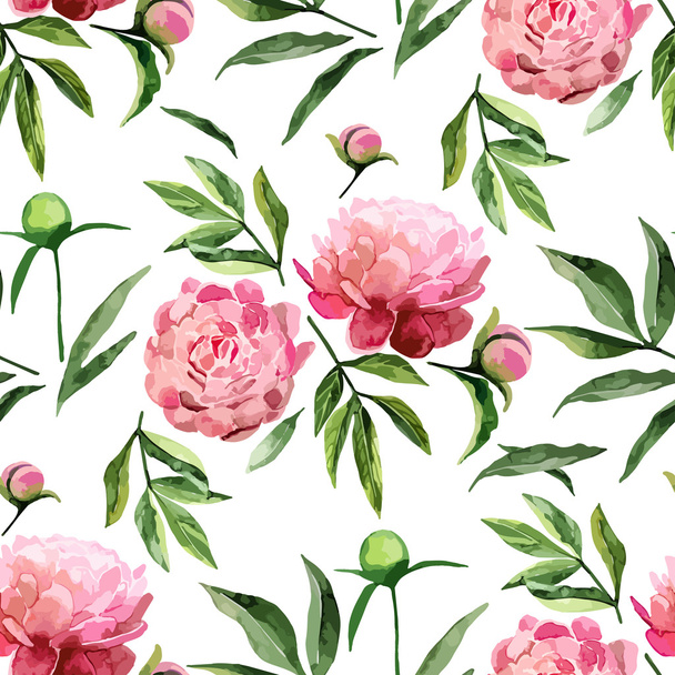 Akvarell pünkösdi rózsa minta - Vektor, kép