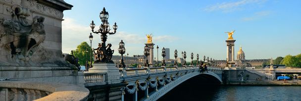 Panorama Paříž Alexandre Iii - Fotografie, Obrázek