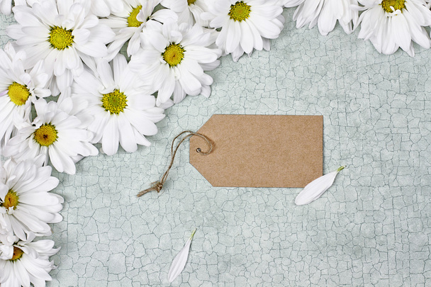 White Daisies and Blank Card - Valokuva, kuva