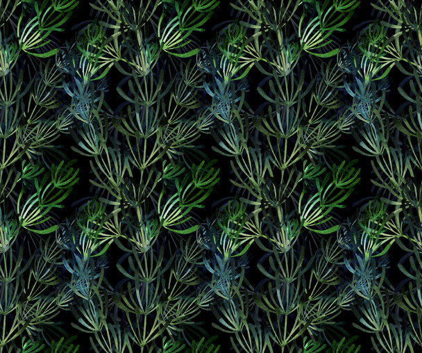 Watercolor rosemary pattern - Photo, Image
