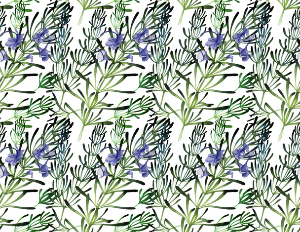 Watercolor rosemary pattern - Photo, Image
