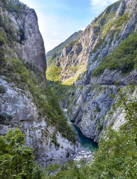 River Tara with green water running trough canyon. UNESCO, Montenegro. - Фото, изображение