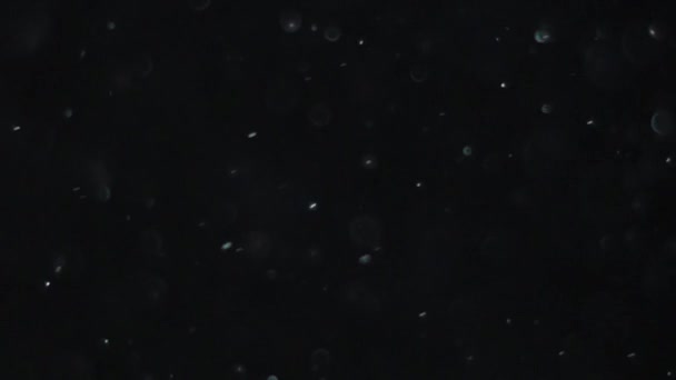 Dust Cloud elszigetelt fekete háttér buborék Bokeh - Felvétel, videó