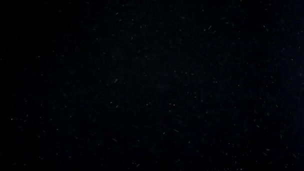 nube de polvo aislado negro fondo burbuja bokeh
 - Imágenes, Vídeo