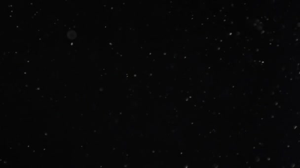 Prachový oblak izolované černým pozadím bublina Bokeh - Záběry, video