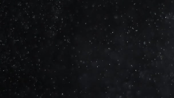 nube de polvo aislado negro fondo burbuja bokeh
 - Metraje, vídeo
