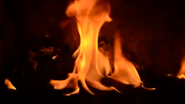 Fire in Furnace - Footage, Video