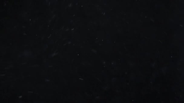 Prachový oblak izolované černým pozadím bublina Bokeh - Záběry, video