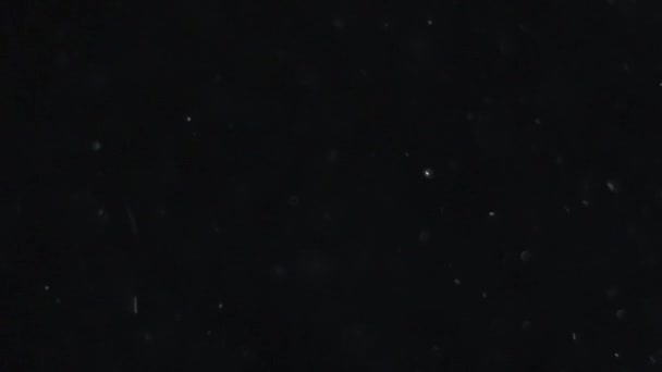 Dust Cloud elszigetelt fekete háttér buborék Bokeh - Felvétel, videó