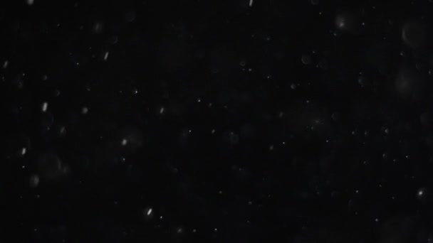 пылевое облако изолированный черный пузырь bokeh
 - Кадры, видео