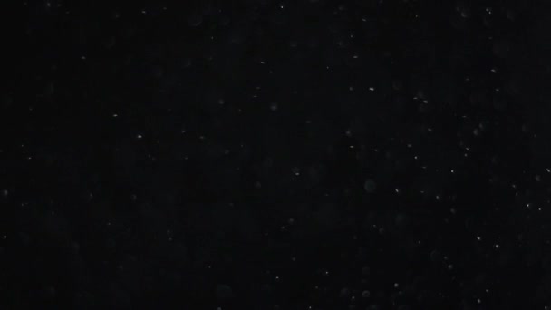 nube de polvo aislado negro fondo burbuja bokeh
 - Imágenes, Vídeo