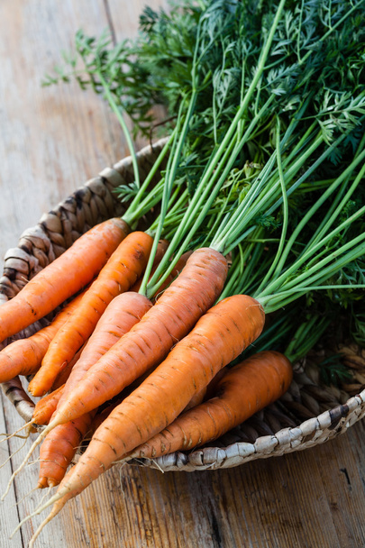 Ramo de zanahorias frescas
 - Foto, Imagen