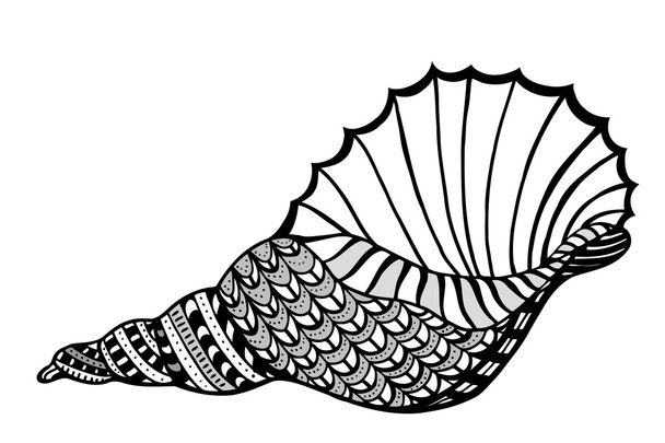 Zentangle stylized shell. - ベクター画像