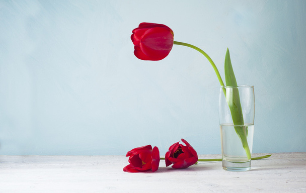 Still life with red tulips and pear - Valokuva, kuva