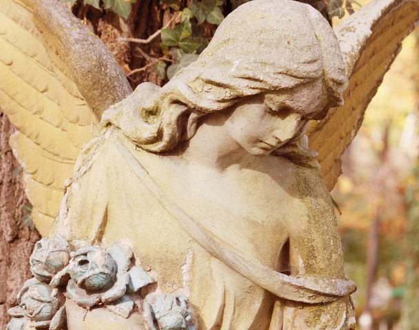 postava anděla - Fotografie, Obrázek