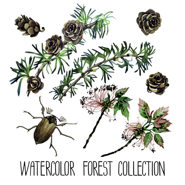 Watercolor forest set - Vector, Image