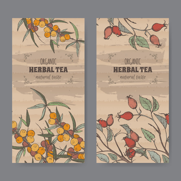 Two color vintage labels for dog rose and buckthorn tea. - Vettoriali, immagini