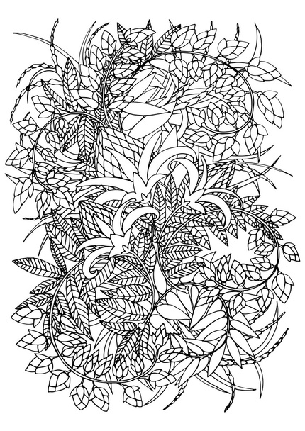patrón floral gráfico
 - Vector, imagen