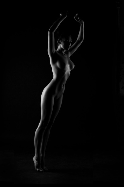 Contours of the female body on a dark background. Sexy body nude - 写真・画像