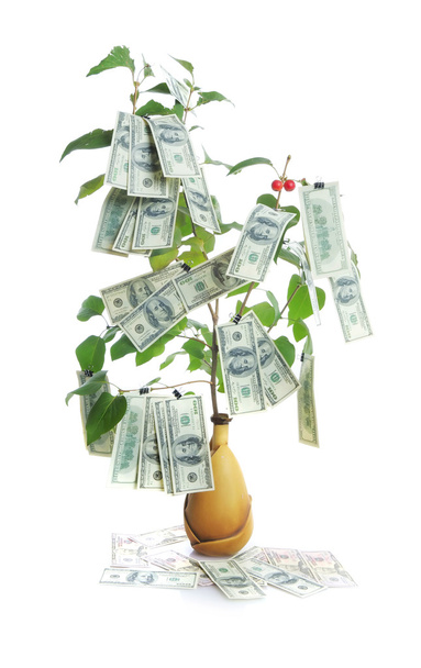 Drzewo pieniędzy - Zdjęcie, obraz