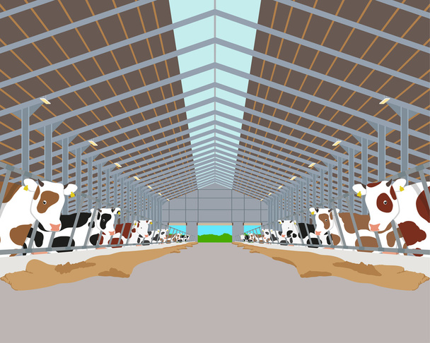 Μέσα στο εσωτερικό του αχυρώνα με τις αγελάδες. Απεικόνιση διανυσματικών φορέων - Διάνυσμα, εικόνα