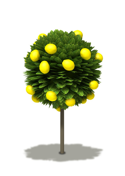 drzewo cytrynowe stylizowane - Zdjęcie, obraz