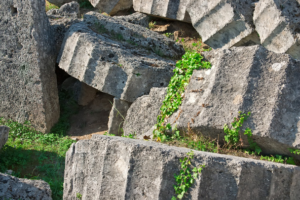 Sitio arqueológico de Olympia, Grecia
. - Foto, imagen