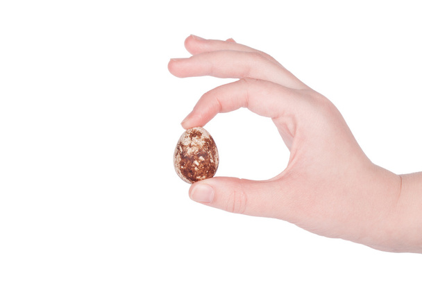naisten käsi tilalla viiriäisen muna
 - Valokuva, kuva
