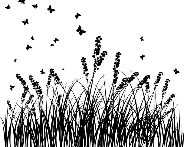 meadow silhouettes - Vector, Image