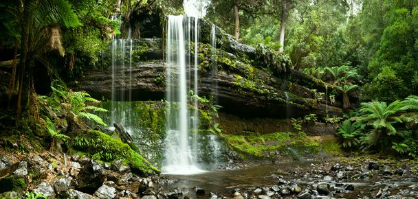 Russell Falls, Mount Field National Park, Central Tasmânia
 - Foto, Imagem