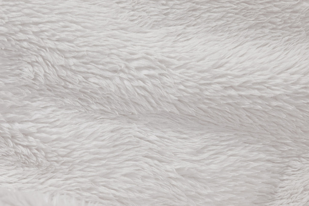 υψηλή ανάλυση γούνα γούνινος λευκό φόντο με υφή - Φωτογραφία, εικόνα