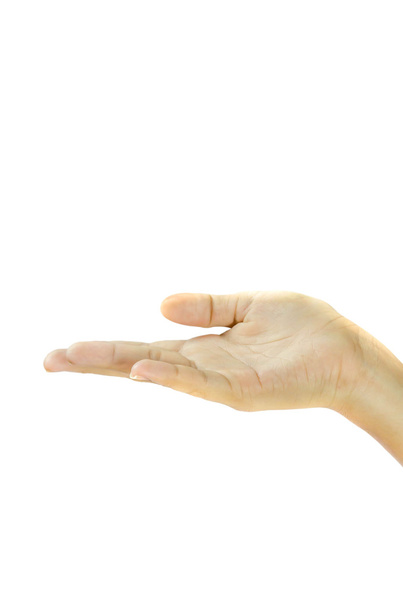 woman's hand  on white background - Photo, Image