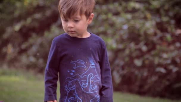 Lassú mozgás egy gyönyörű fiú a természetben feltárása a környezetét - Felvétel, videó