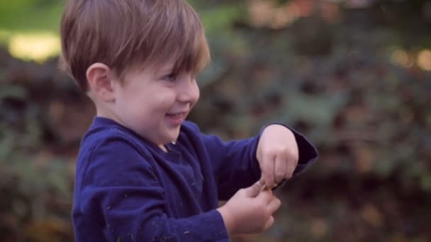Az egészséges szőke kék szeme fiatal fiú játszik egy kis játék - Felvétel, videó