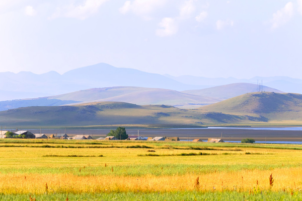 yellow field and hills - Φωτογραφία, εικόνα