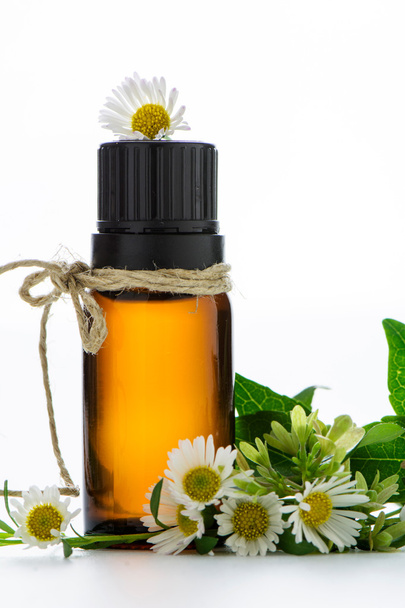 Aceite esencial, etiquetas vacías y flores de manzanilla
 - Foto, imagen