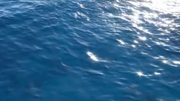 Tauchsafari durch das schöne Rote Meer in der Nähe von Ägypten. - Filmmaterial, Video