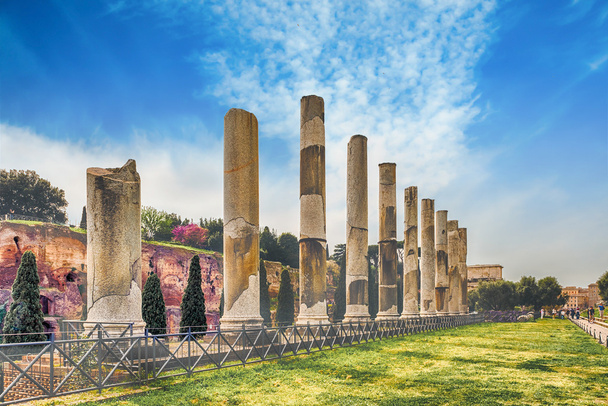 Antiguas columnas del Templo de Venus, Roma, Italia
 - Foto, imagen