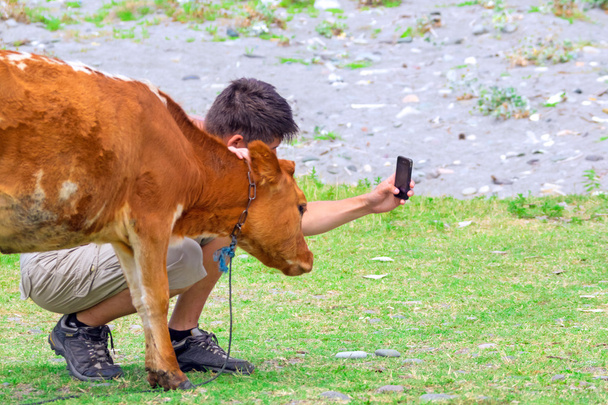 Man photographed calf  - Photo, image