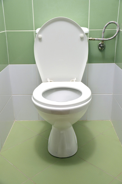 WC empotrado con azulejos blancos y verdes en el fondo
 - Foto, Imagen
