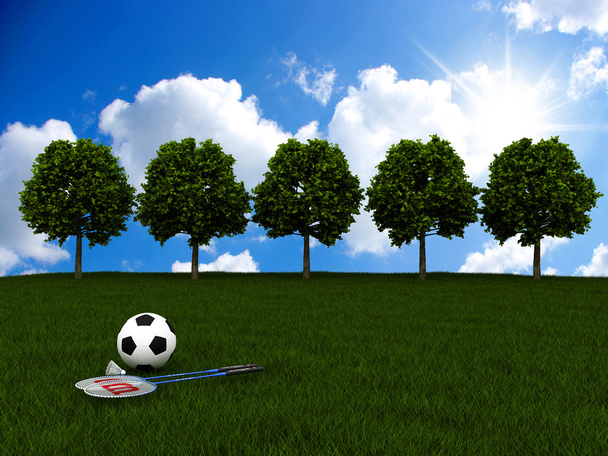 soccer ball and tennis racket on green meadow - Photo, image
