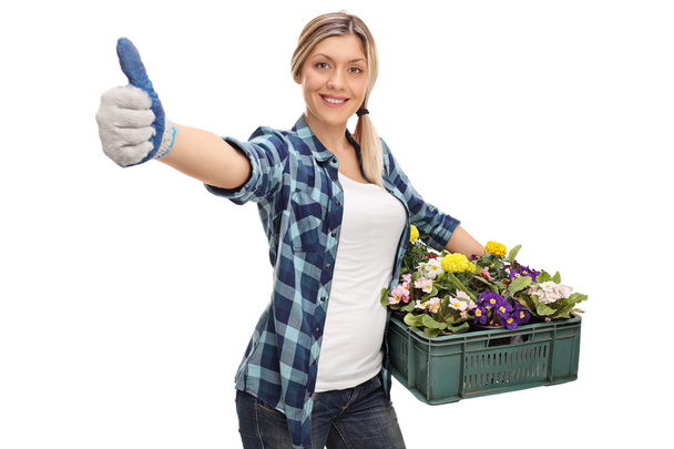 Woman gardener holding a rack of flowers   - Valokuva, kuva
