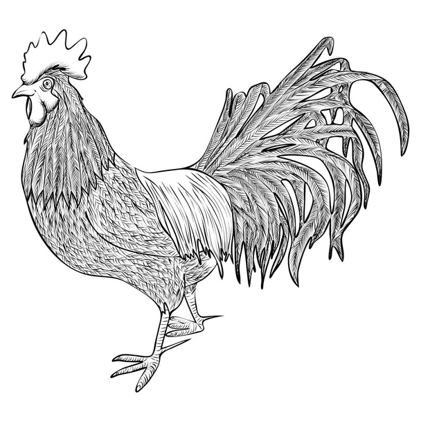 Rooster Vector Icon - Διάνυσμα, εικόνα