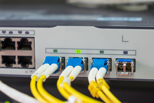 cables de fibra óptica enchufables en el interruptor de red
 - Foto, Imagen